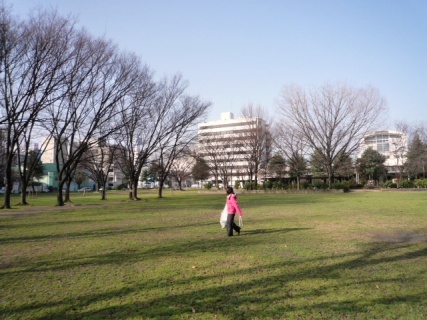 2009_02_15_park.jpg