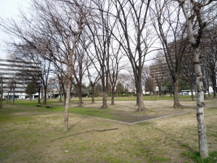 2009_02_22_park.jpg