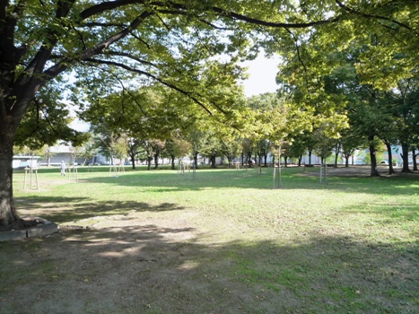 2009_10_18_park.jpg