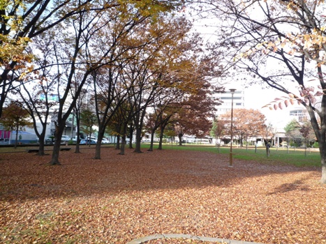 2009_12_13_park.jpg