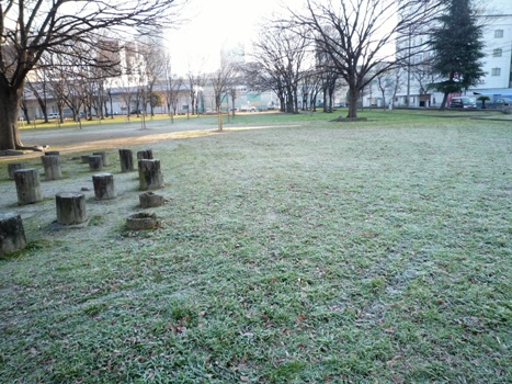 2010_1.17.frost.jpg