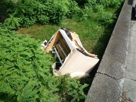 2010_7_25_clean3.jpg