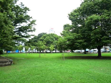 2011_6-park.jpg