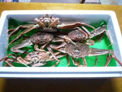2012.crab.jpg