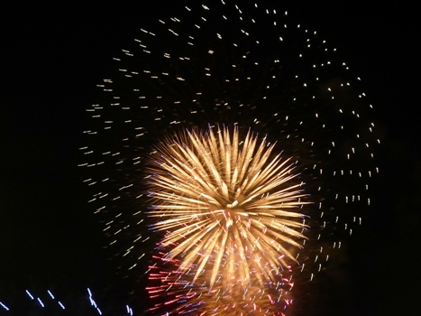 fireworks-5.jpg