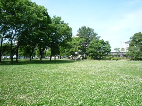 nagata-north-park-clean-368-1.jpg