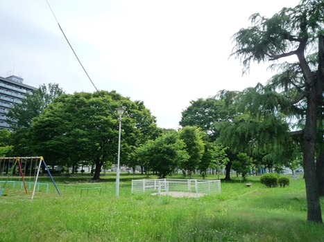 nagata-north-park-clean-418-1.JPG