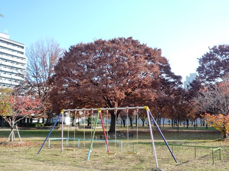 nagata-north-park-clean-445-1.JPG