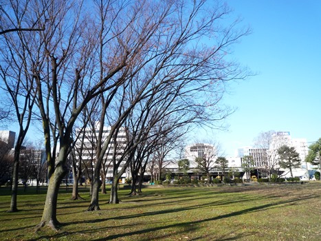 nagata-north-park-clean-450-3.JPG