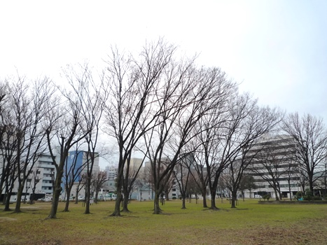 nagata-north-park-clean-452-3.JPG