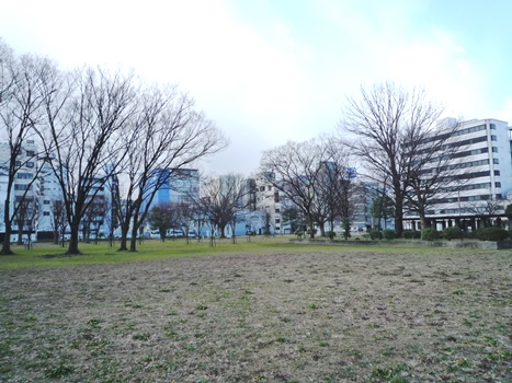 nagata-north-park-clean-453-3.JPG