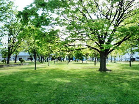 nagata-north-park-clean-463-1.JPG