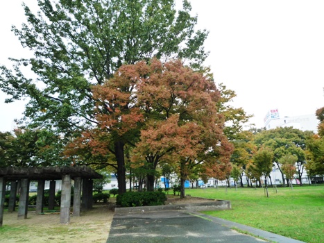 nagata_north_park_clean_247-1.jpg