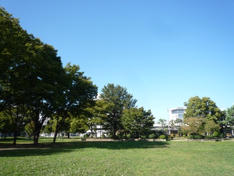 nagata_north_park_clean_292-1.jpg