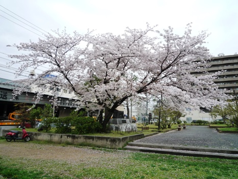 nagata_north_park_clean_314-1.jpg