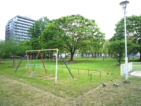 nagata_north_park_clean_365-1.jpg