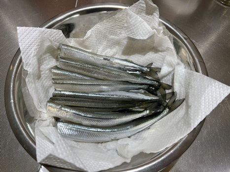 fishing-life-73 (4).JPG